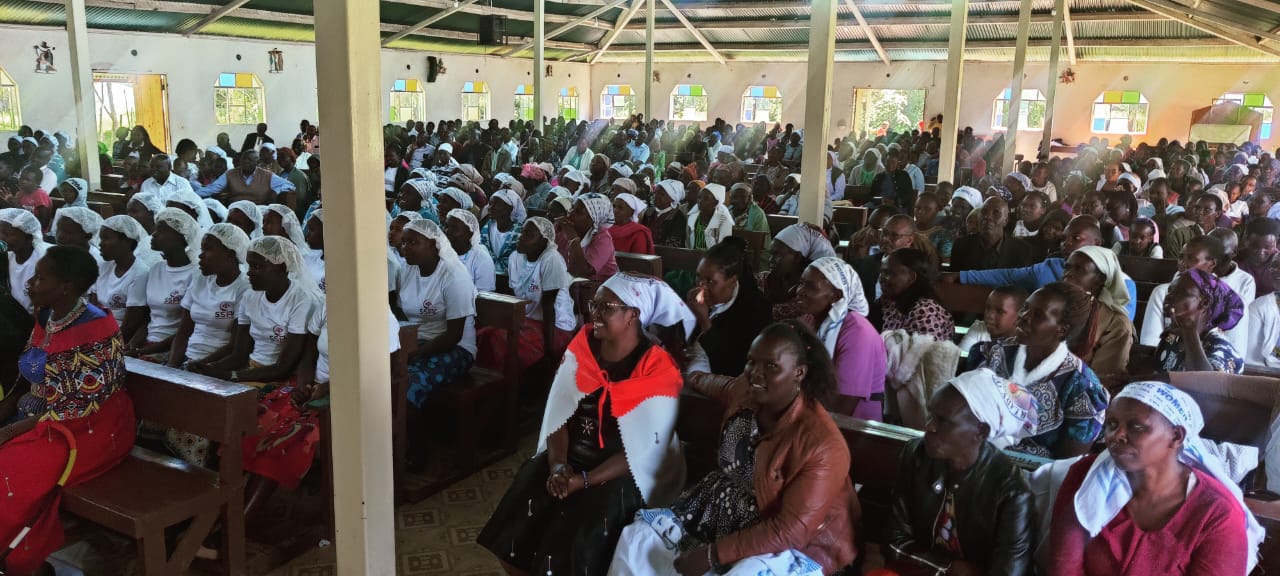 Programme activity supported by international partners